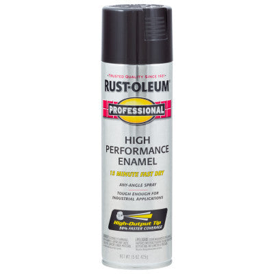 Professional Enamel Spray Paint, 15 oz, Black, Gloss Finish 647-7579838